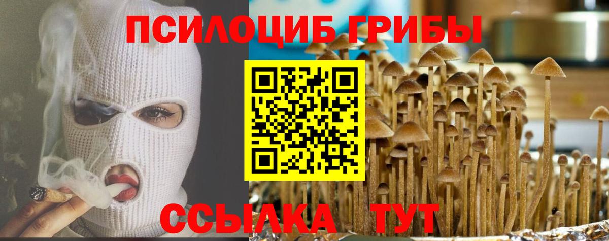 Ахтубинск  Галлюциногенные грибы Magic Shrooms  Вход с VPN 