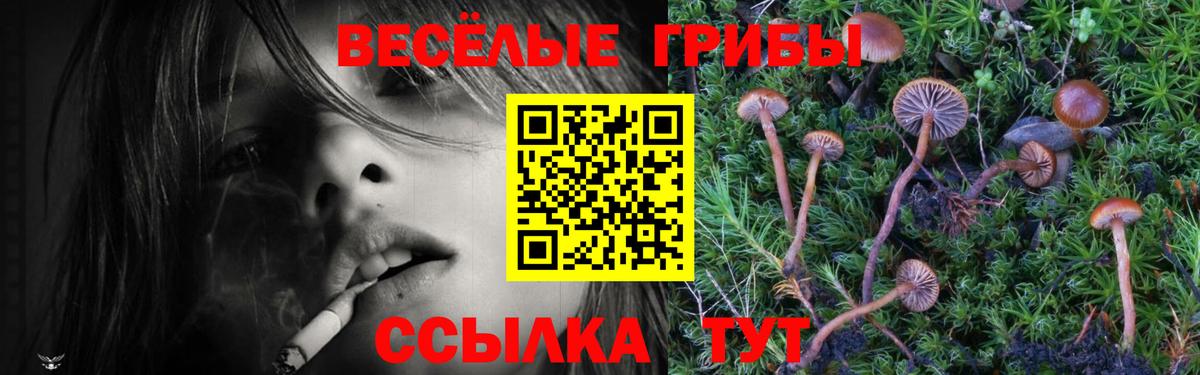 Галлюциногенные грибы мицелий Ахтубинск